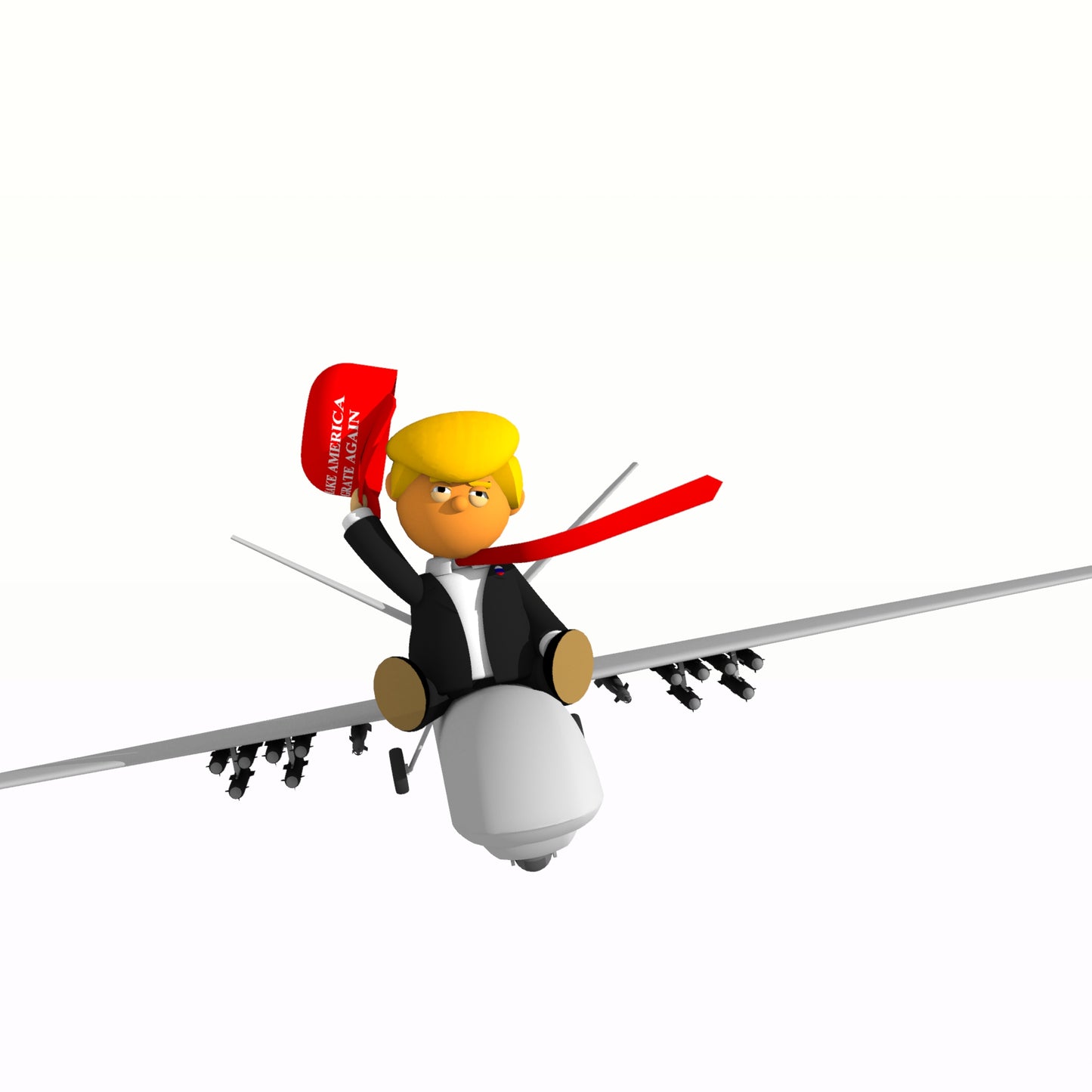 Mr Trump Goes To Washington Book